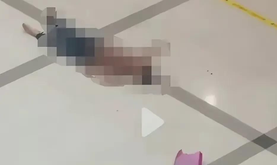 第239页